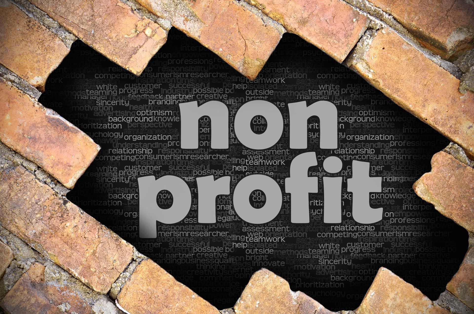 The hole in the brick wall with word non profit